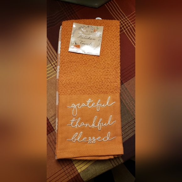 Other - NWT Set of Two Kitchen Towels